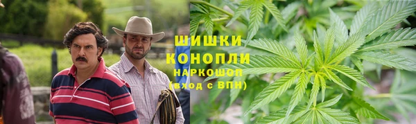 прущая мука Вяземский