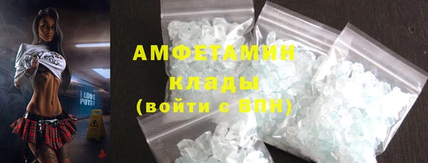 прущая мука Вяземский
