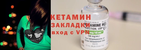 прущая мука Вяземский