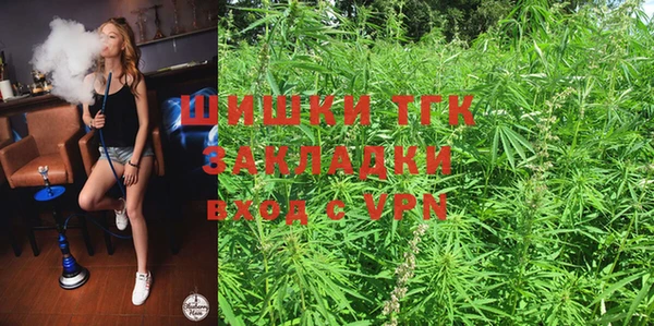 прущая мука Вяземский