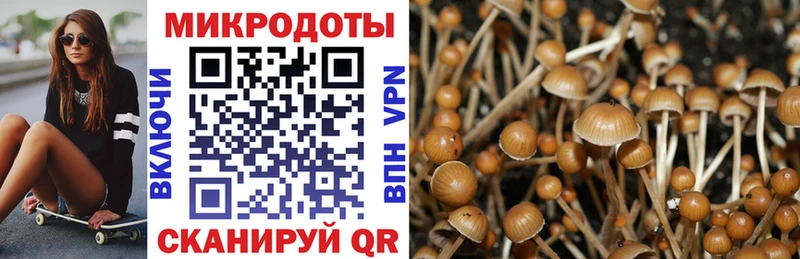 Псилоцибиновые грибы GOLDEN TEACHER купить Железноводск